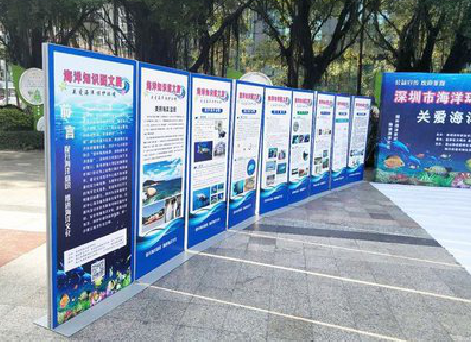 松溪KT板的种类和知识。